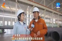 沧州：聚链成群 向“新”而生